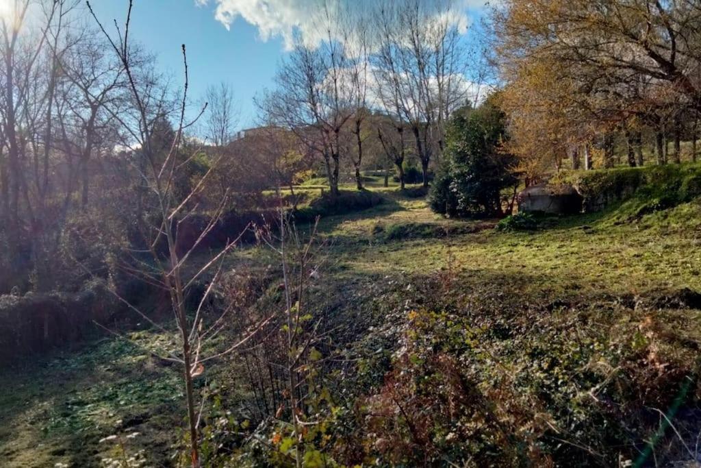 Confort, Fun And Leisure In Douro Rural Space Sande  المظهر الخارجي الصورة