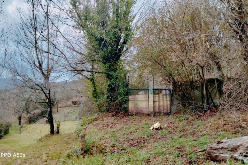 Confort, Fun And Leisure In Douro Rural Space Sande  المظهر الخارجي الصورة