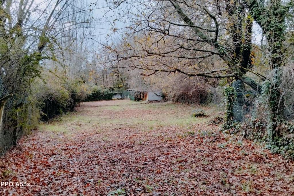 Confort, Fun And Leisure In Douro Rural Space Sande  المظهر الخارجي الصورة