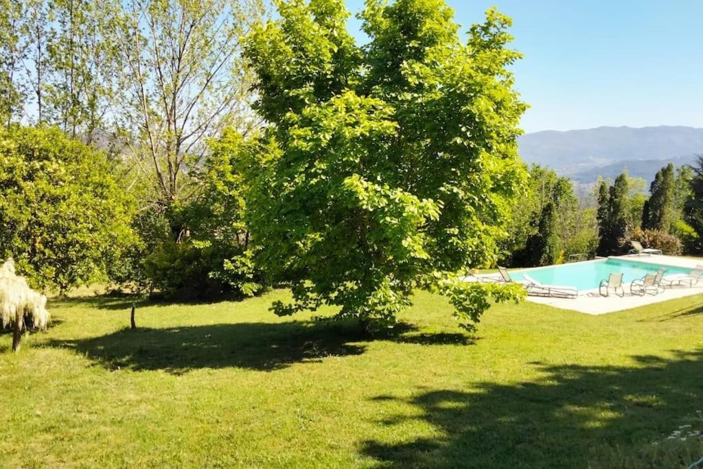 Confort, Fun And Leisure In Douro Rural Space Sande  المظهر الخارجي الصورة