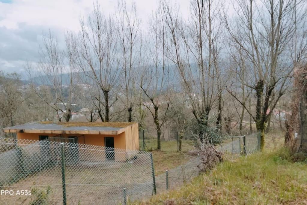 Confort, Fun And Leisure In Douro Rural Space Sande  المظهر الخارجي الصورة